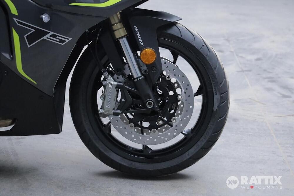 Benelli Tornado 550 (2025 - 26) (9)