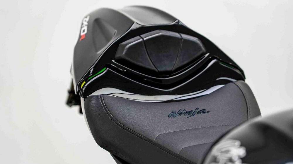 Kawasaki Ninja 1000 ZX-10R (2011 - 15) (17)