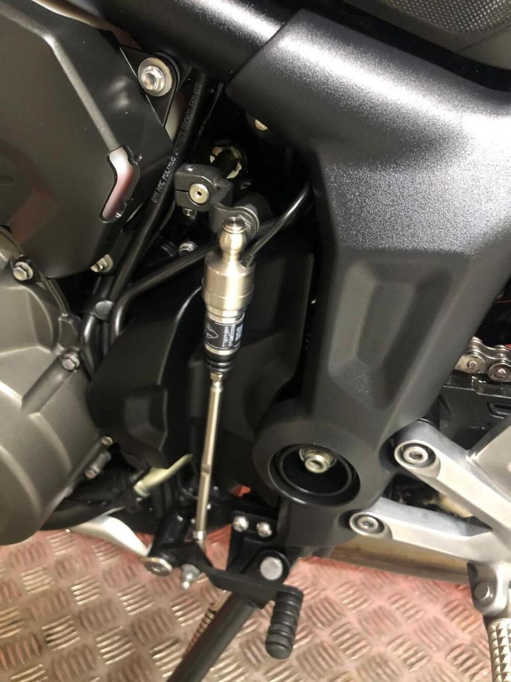 Triumph Trident 660 (2021 - 24) (5)