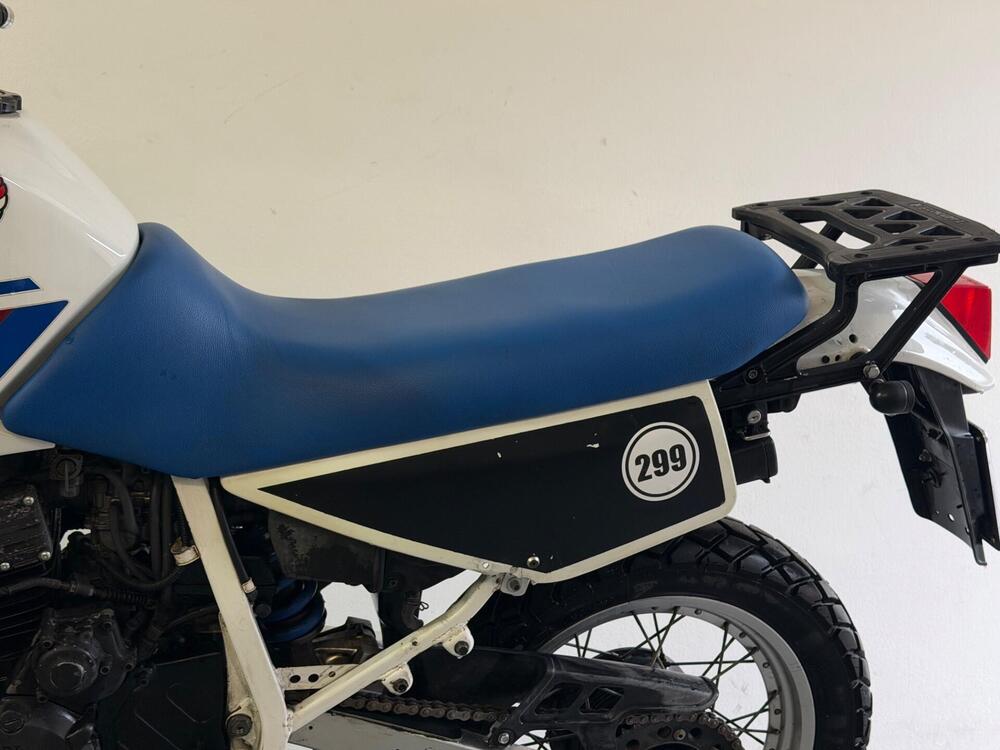 Honda XL 600 (1983 - 89) (3)