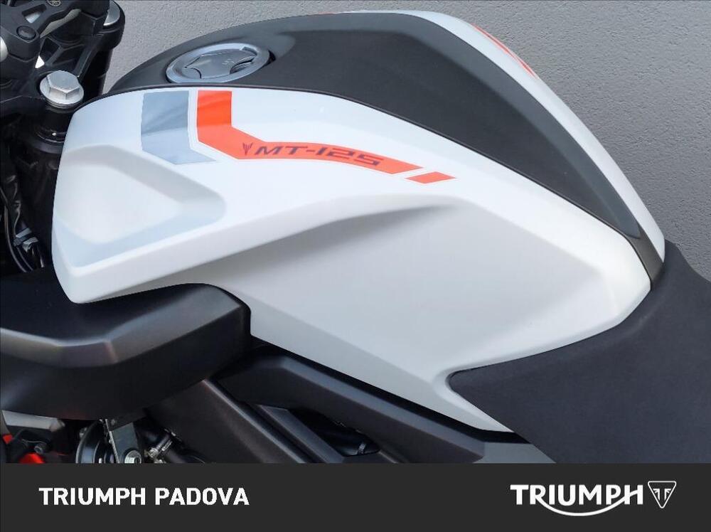 Yamaha MT-125 ABS (2017 - 19) (9)