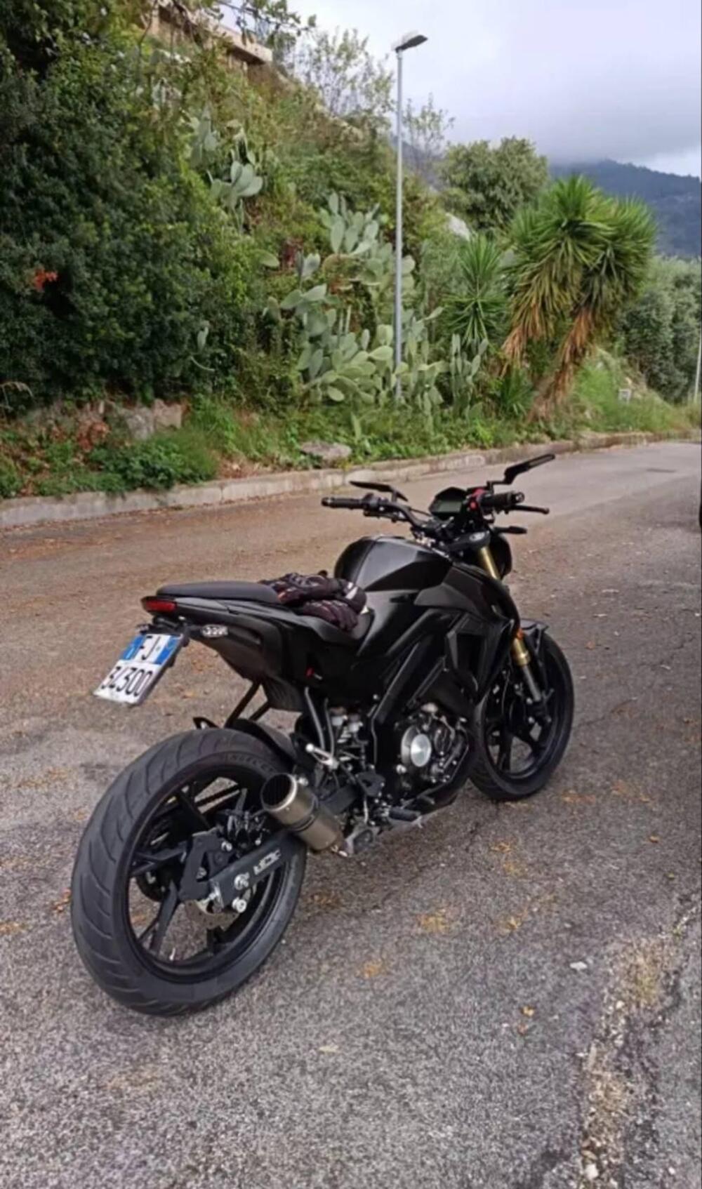 Keeway Motor RKF 125 (2021 - 24) (5)