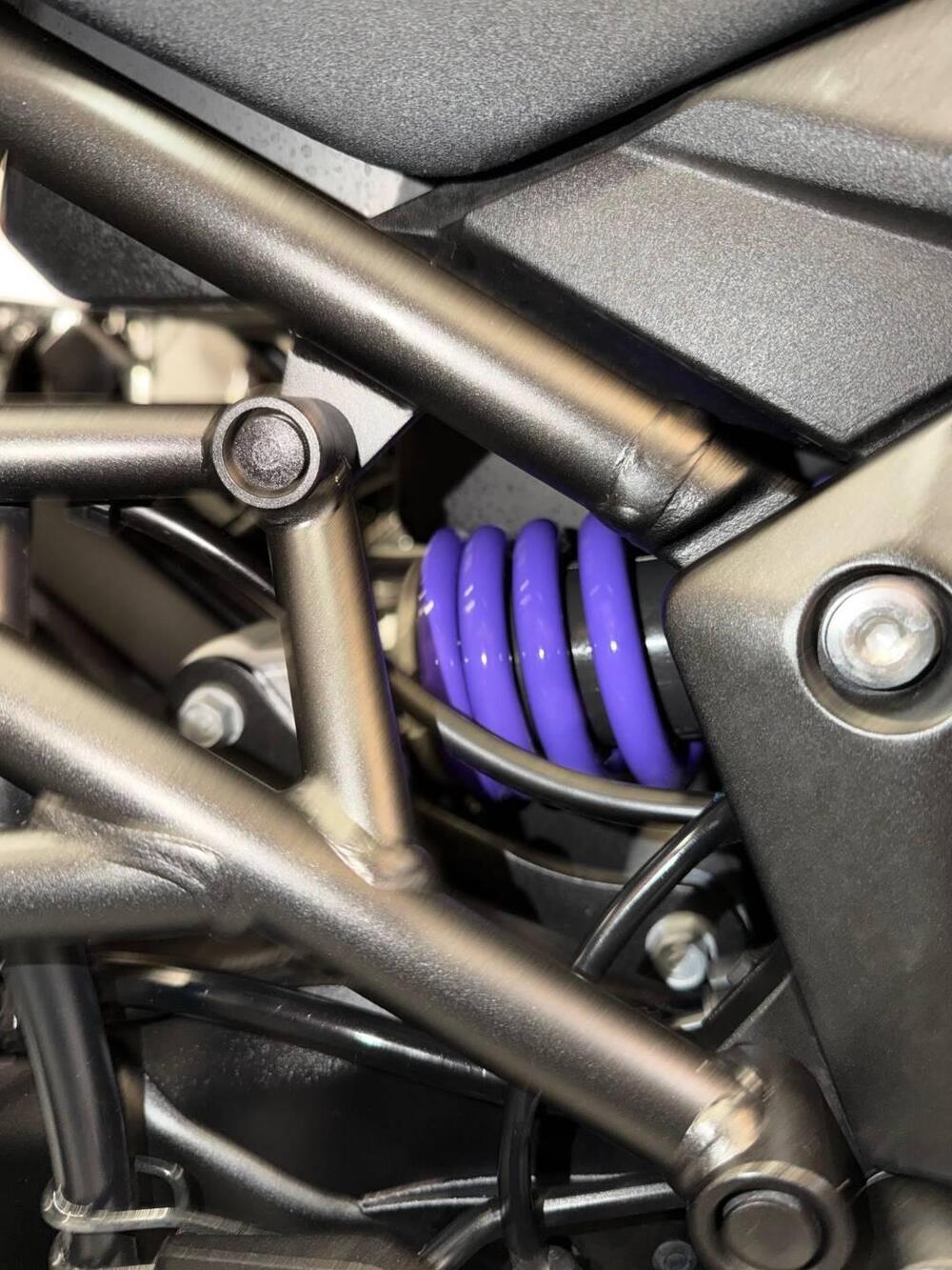 Kawasaki Versys 1000 Tourer Plus (2017 - 20) (7)