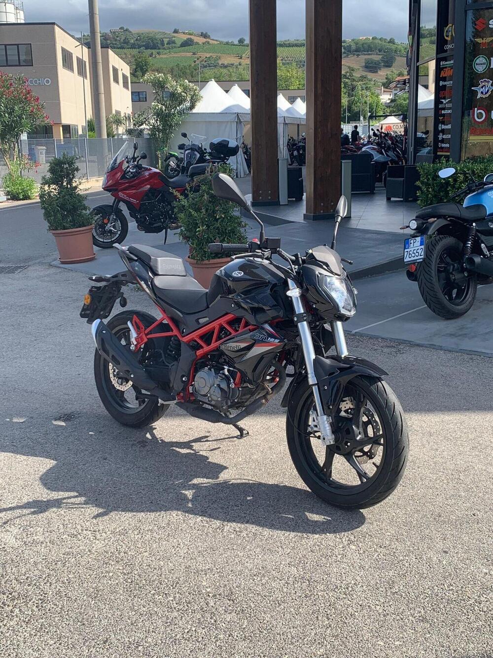 Benelli BN 125 (2021 - 25) (7)