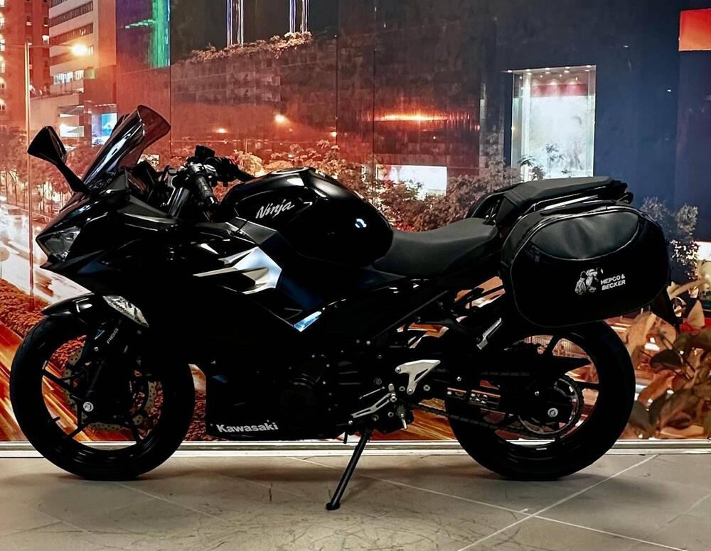 Kawasaki Ninja 400 (2018 - 20) (2)