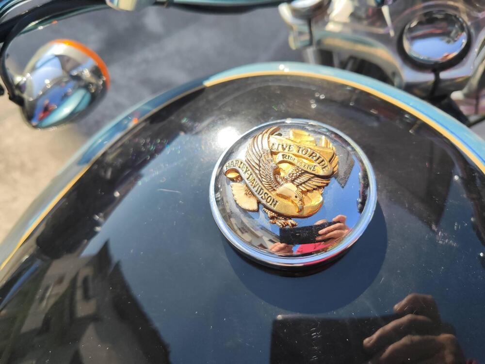 Harley-Davidson 1200 Low (2006 - 07) - XL 1200L (10)