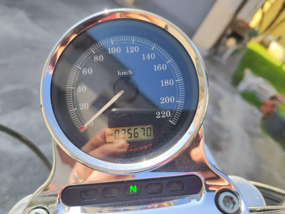 Harley-Davidson 1200 Low (2006 - 07) - XL 1200L (11)