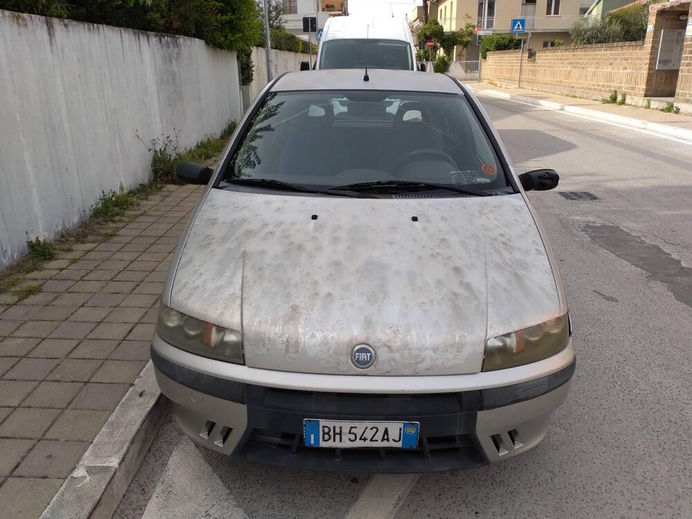 Fiat Punto usata a Pescara (3)