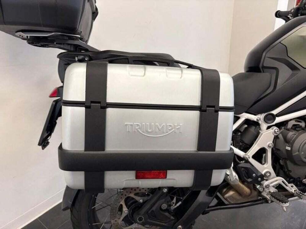 Triumph Tiger 1200 Rally Explorer (2022 - 23) (10)