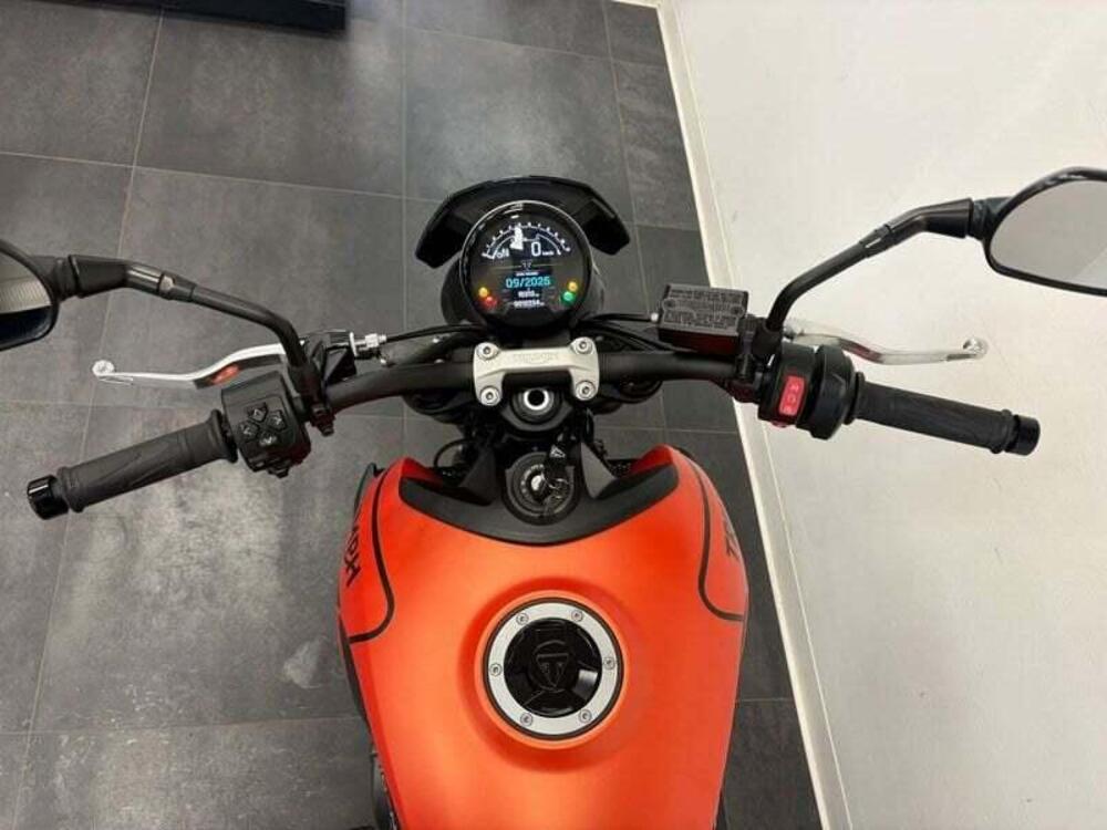 Triumph Trident 660 (2021 - 24) (6)