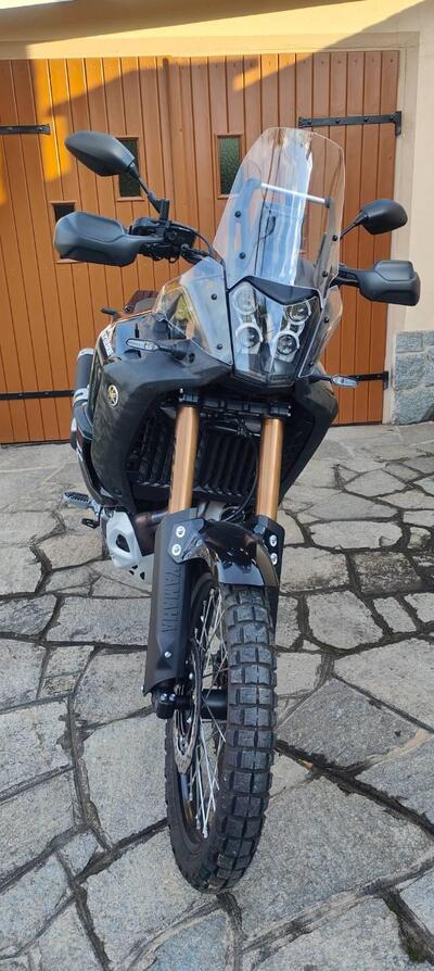 Yamaha T&eacute;n&eacute;r&eacute; 700 World Raid (2022 - 25) usata