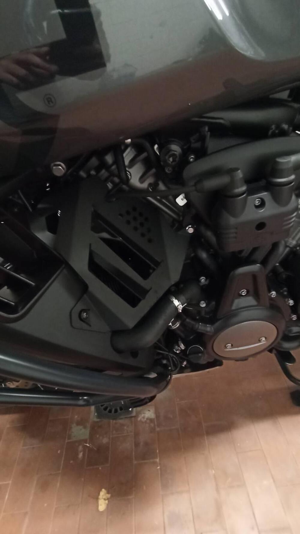 Harley-Davidson Pan America 1250 Special (2020 - 25) (7)