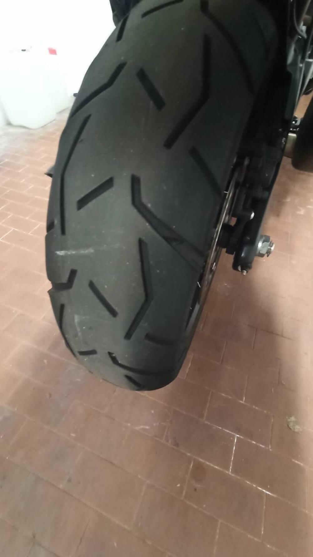 Harley-Davidson Pan America 1250 Special (2020 - 25) (11)