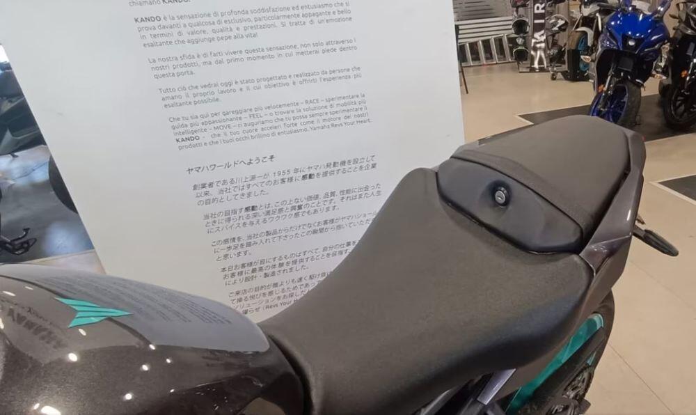 Yamaha MT-09 (2024 - 26) (4)