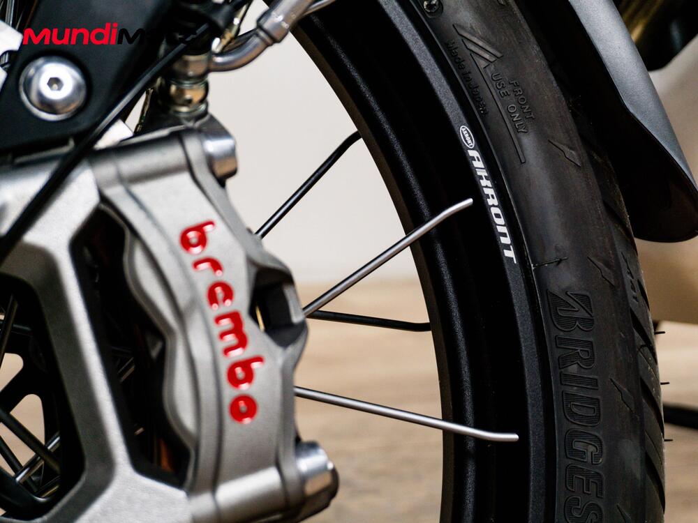 Triumph Tiger 900 Rally Pro (2024 - 26) (12)