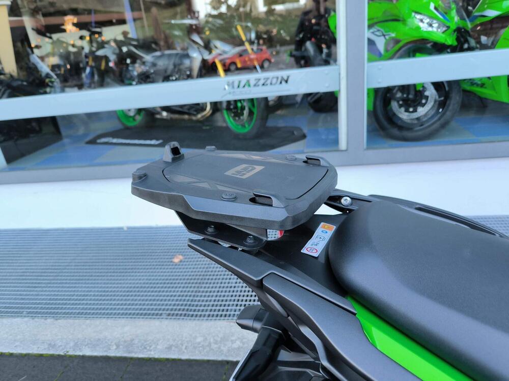 Kawasaki Versys 1000 (2019 - 20) (5)