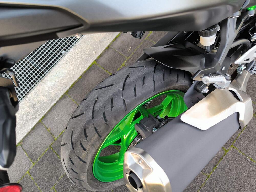 Kawasaki Z 500 SE (2024 - 26) (5)