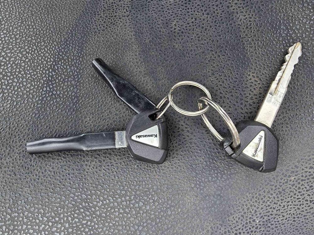 Kawasaki Z 900 (2019) (19)