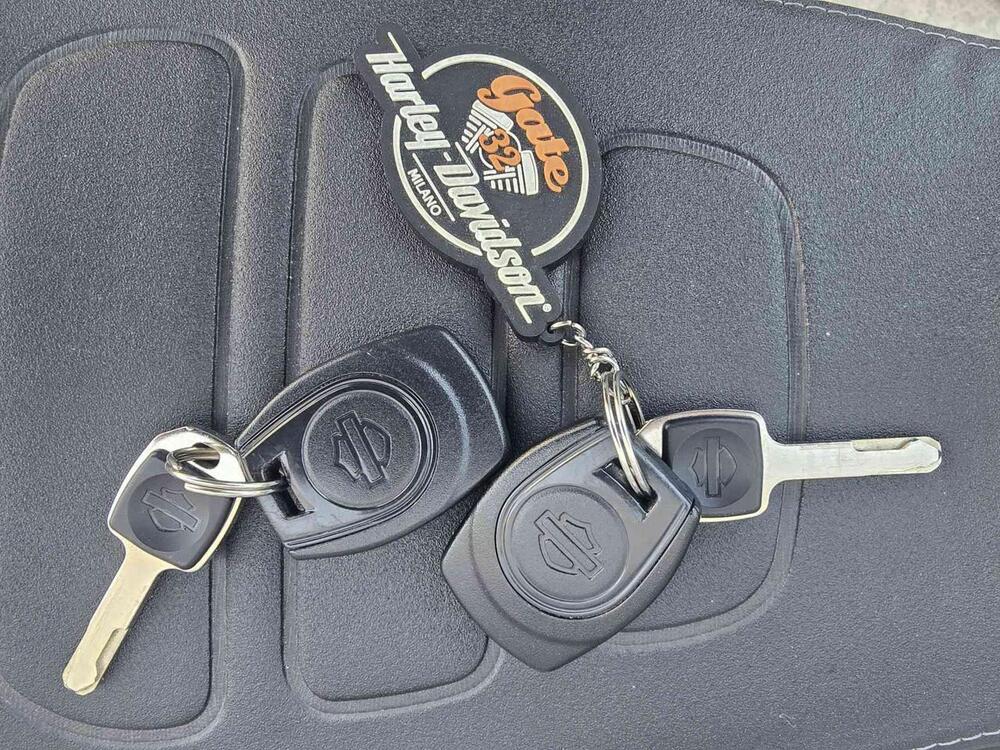 Harley-Davidson Sportster S (2022 - 24) (18)