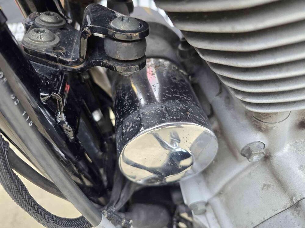 Harley-Davidson 883 Custom (2006 - 07) - XL 883C (12)