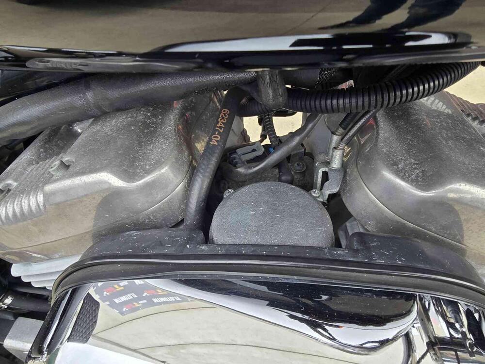 Harley-Davidson 883 Custom (2006 - 07) - XL 883C (18)