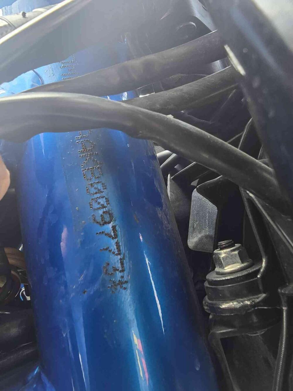 Ducati Scrambler 800 Cafè Racer (2017 - 21) (18)