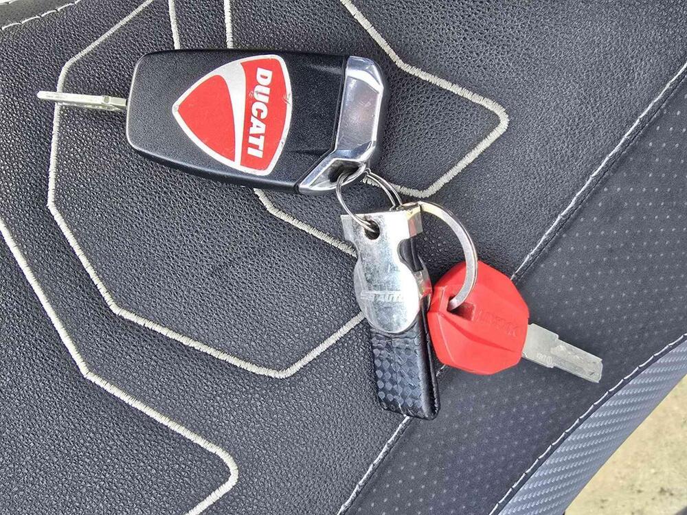 Ducati Multistrada 950 S (2019 - 20) (22)