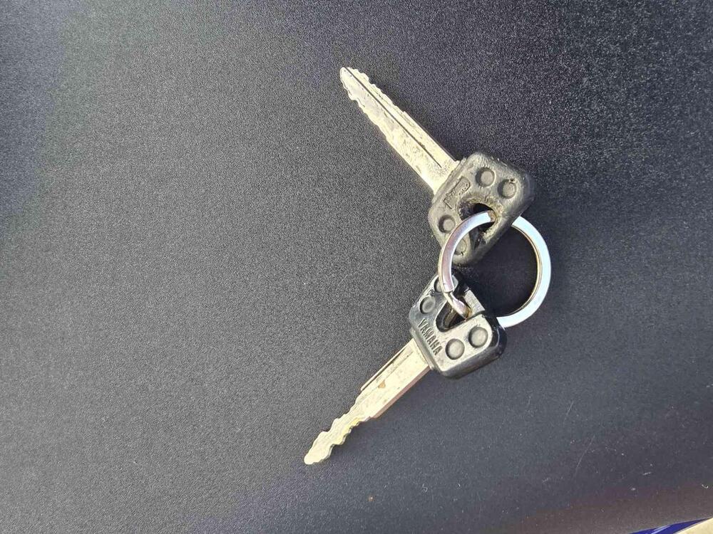 Yamaha YZF R6 (2001 - 02) (17)