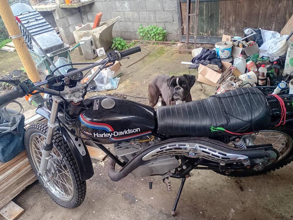 Aermacchi Harley-Davidson Sx 250