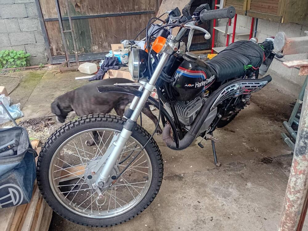 Aermacchi Harley-Davidson Sx 250 (3)