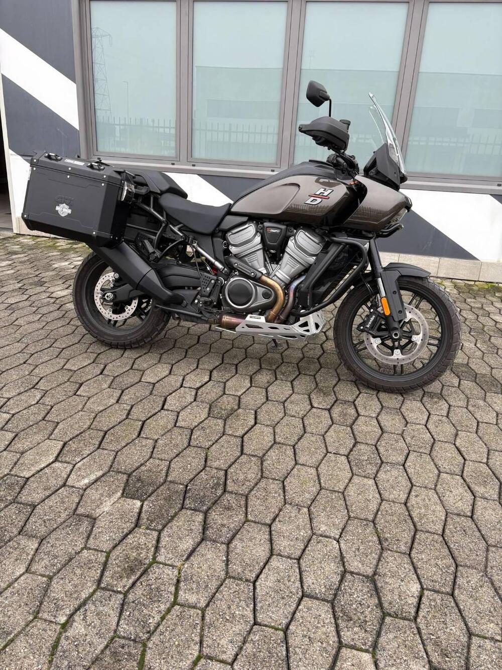 Harley-Davidson Pan America 1250 (2020 - 25) (3)