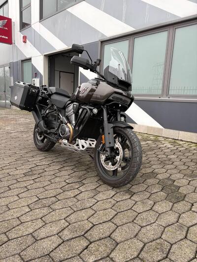 Harley-Davidson Pan America 1250 (2020 - 25) usata