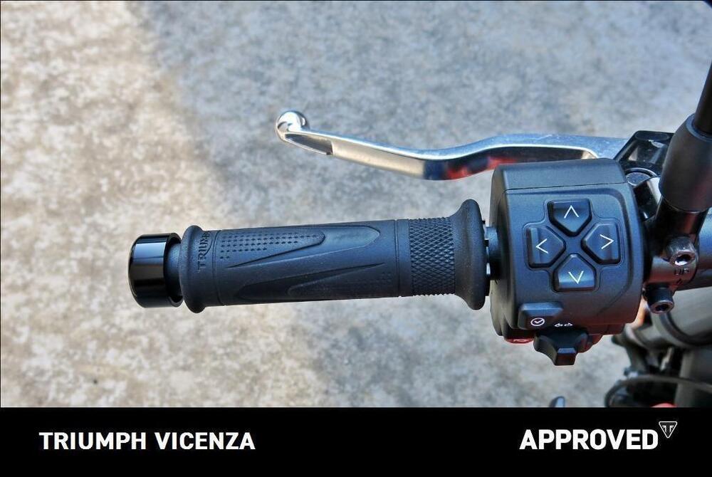 Triumph Trident 660 (2021 - 24) (11)