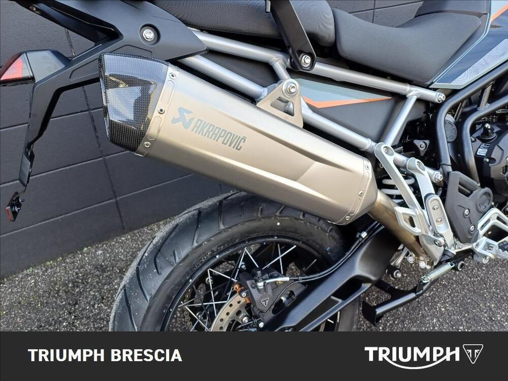 Triumph Tiger 900 Desert Special Edition (2026) (4)