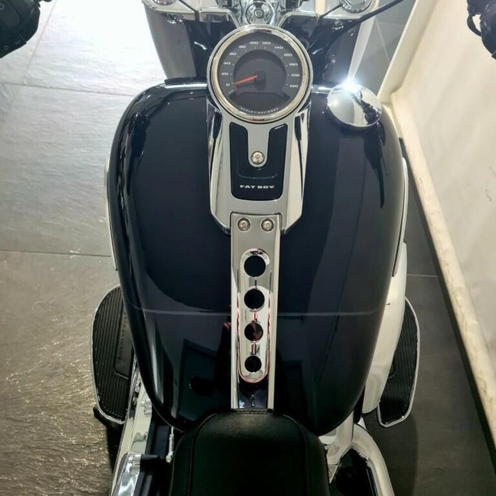 Harley-Davidson Fat Boy 117 (2025 - 26) (6)