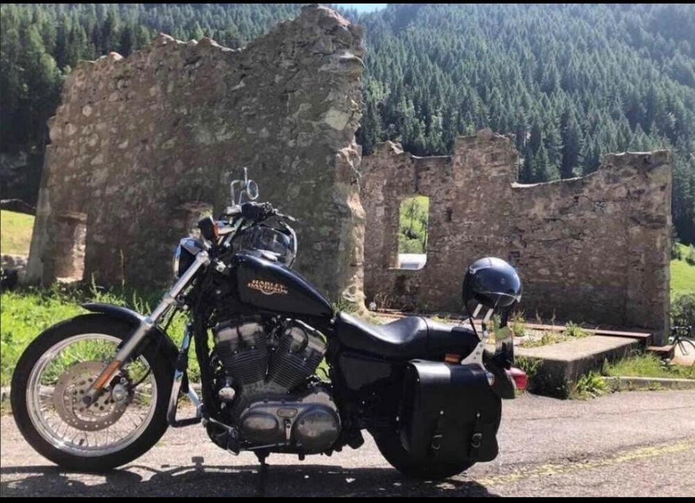 Harley-Davidson 883 Low (2006 - 07) - XL 883L