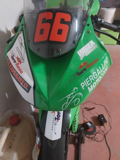 Kawasaki Ninja 1000 ZX-10R (2010 - 11) usata