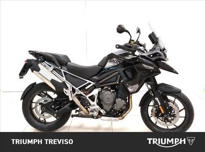 Triumph Tiger 1200 GT Pro (2024 - 26) usata
