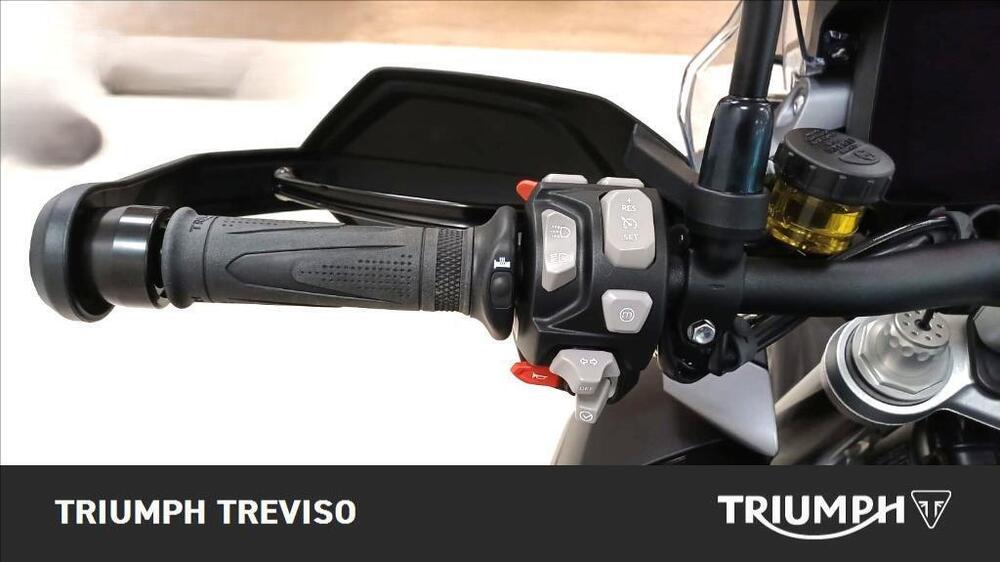 Triumph Tiger 1200 GT Pro (2024 - 26) (4)