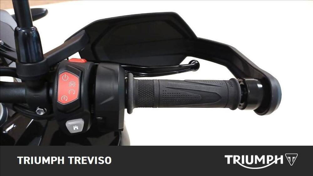 Triumph Tiger 1200 GT Pro (2024 - 26) (5)