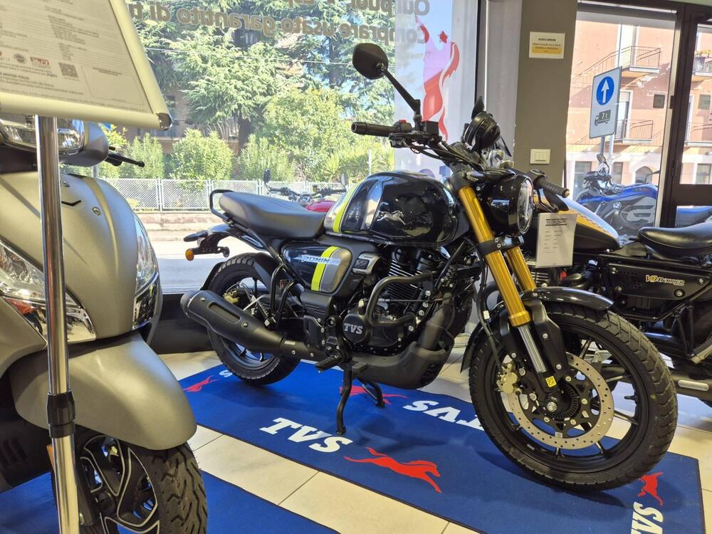 TVS Motor Ronin 250 (2024 - 26) (2)