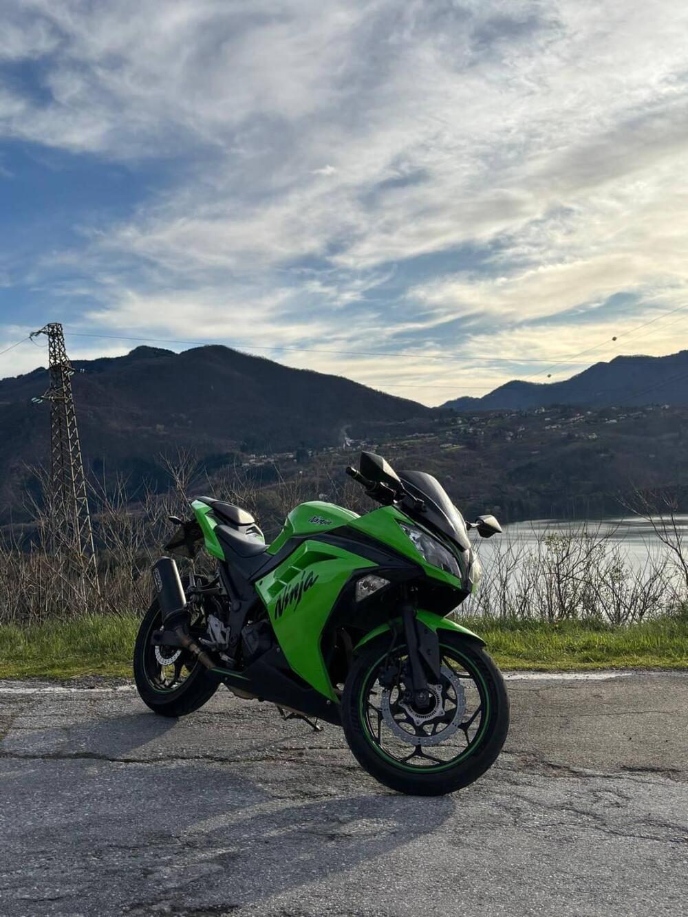 Kawasaki Ninja 300 (2012 - 14)