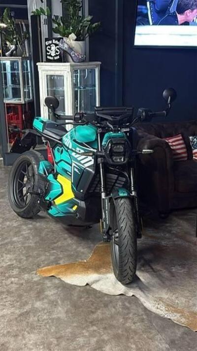 Can-Am Brp Pulse (2025 - 26) usata