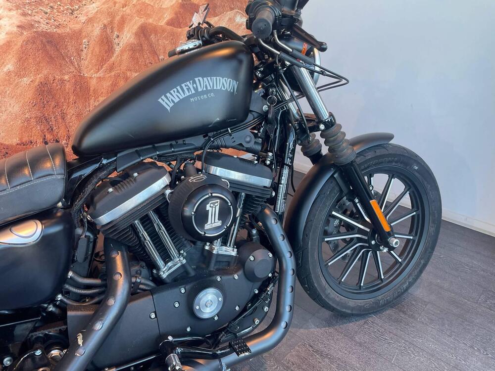 Harley-Davidson 883 Iron (2014 - 16) - XL 883N (4)