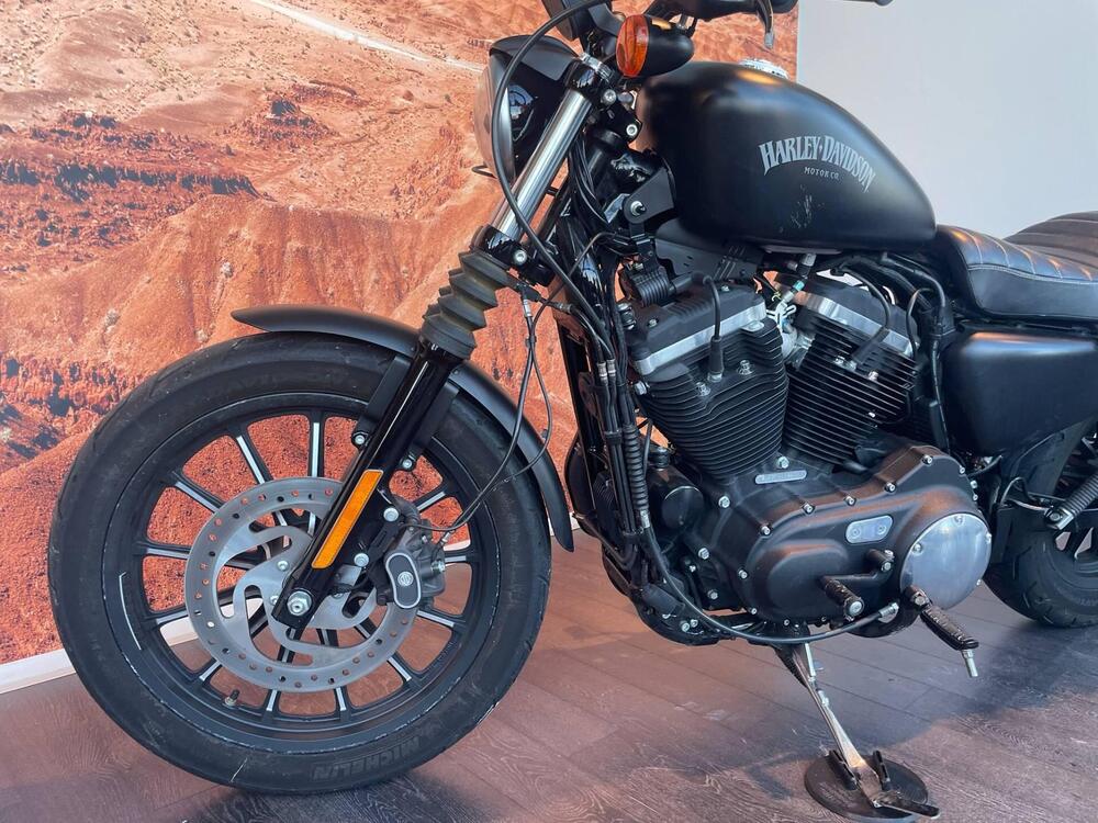 Harley-Davidson 883 Iron (2014 - 16) - XL 883N (7)