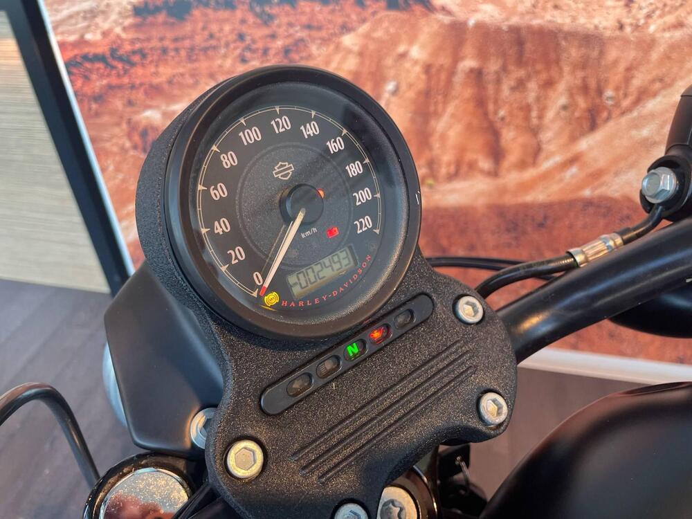 Harley-Davidson 883 Iron (2014 - 16) - XL 883N (10)