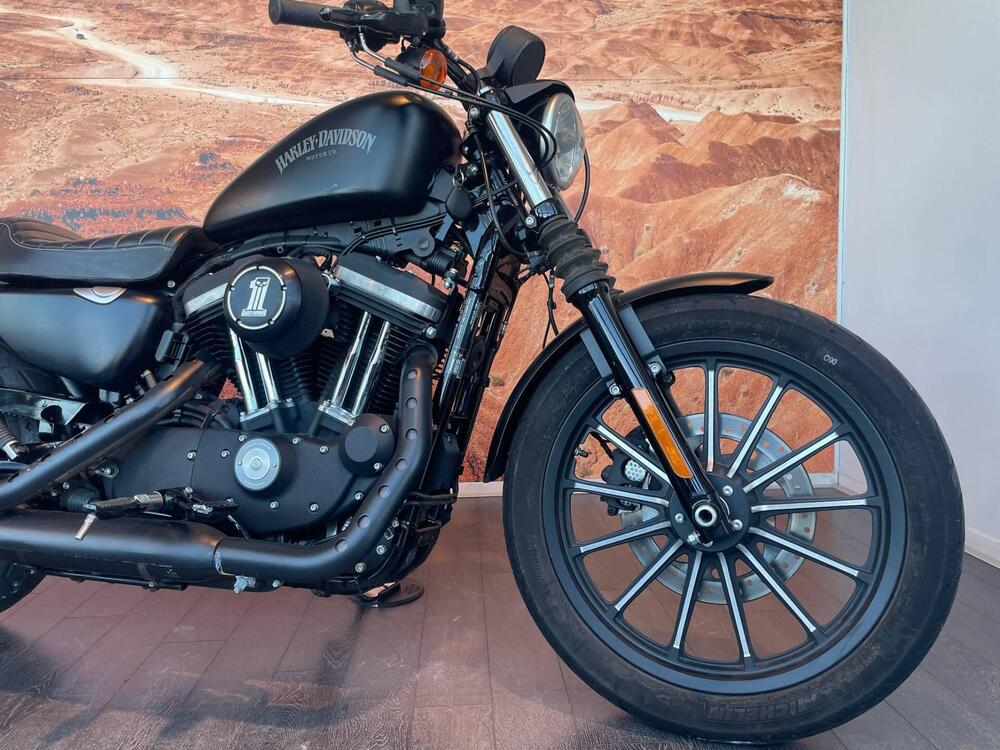 Harley-Davidson 883 Iron (2014 - 16) - XL 883N (3)