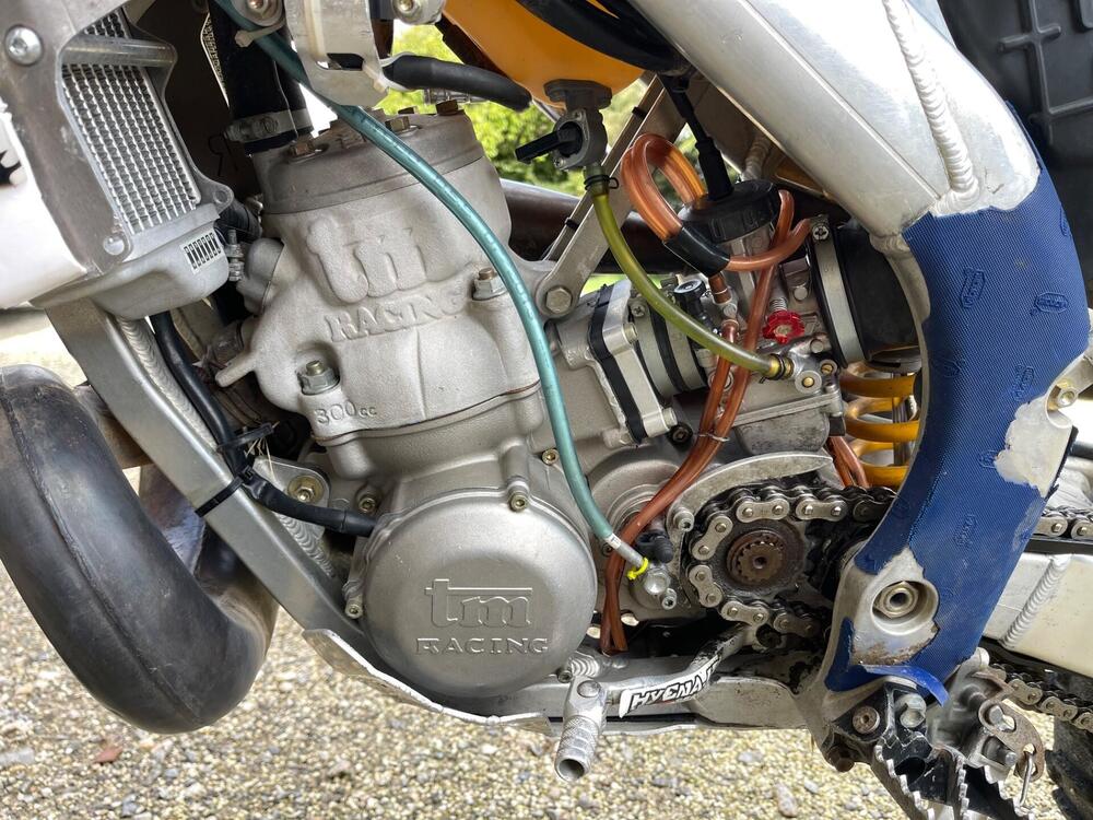 Tm Moto EN 300 (2014) (5)