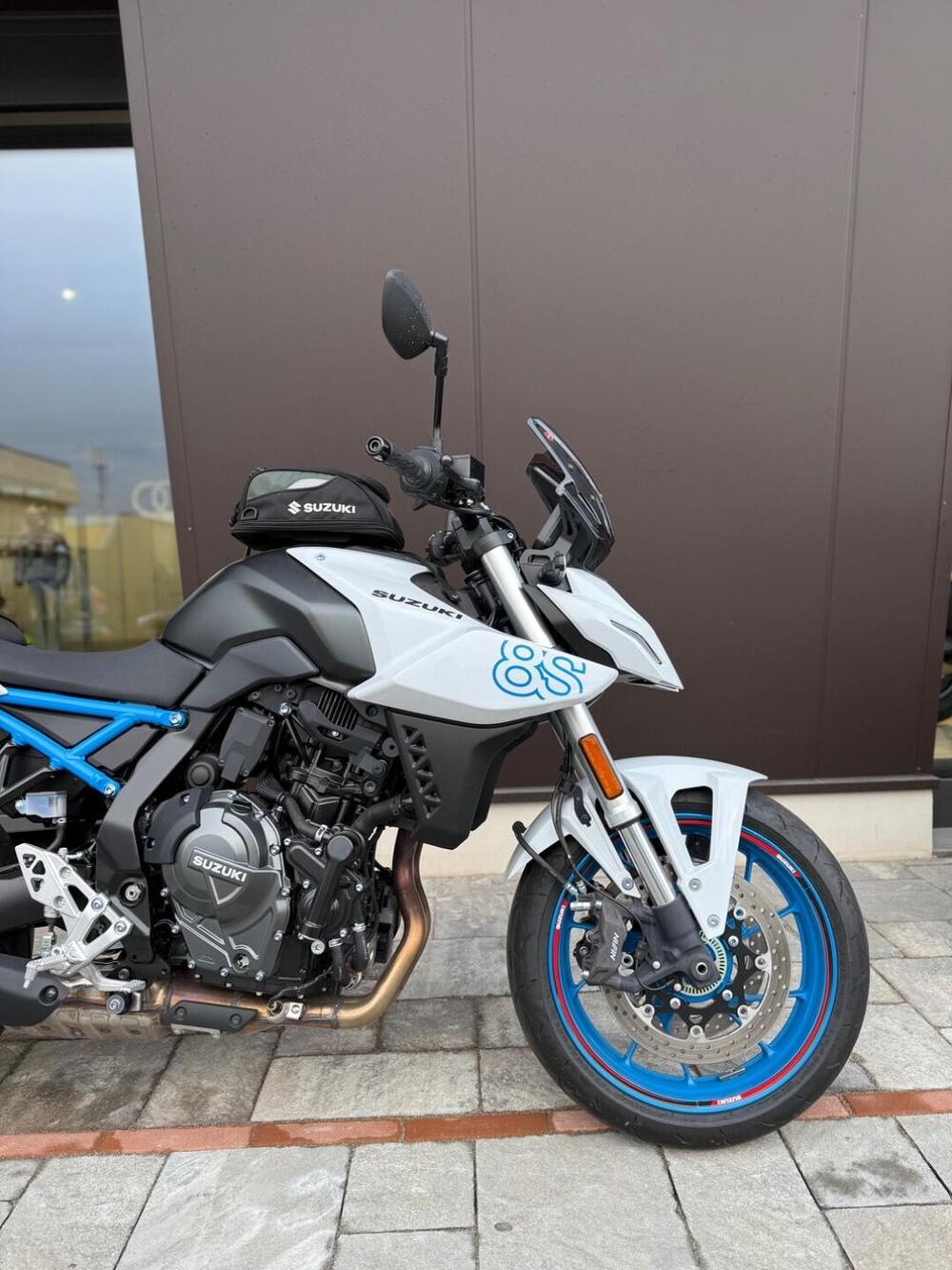 Suzuki GSX-8S (2023 - 24) (2)