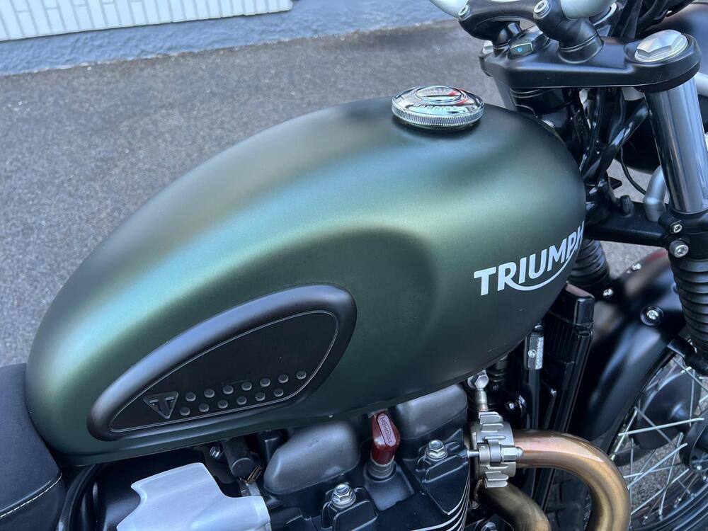 Triumph Scrambler 900 Icon Edition (2025 - 26) (7)
